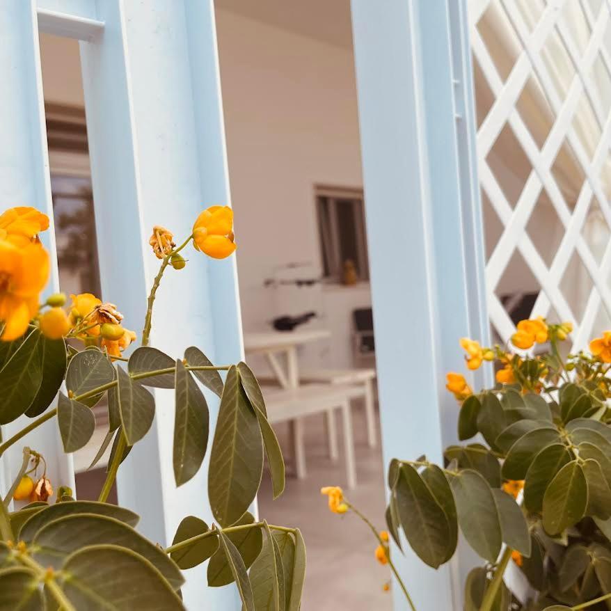 U Ceccenate Bed and Breakfast Montalbano  Εξωτερικό φωτογραφία